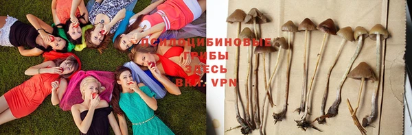 экстази Алексеевка