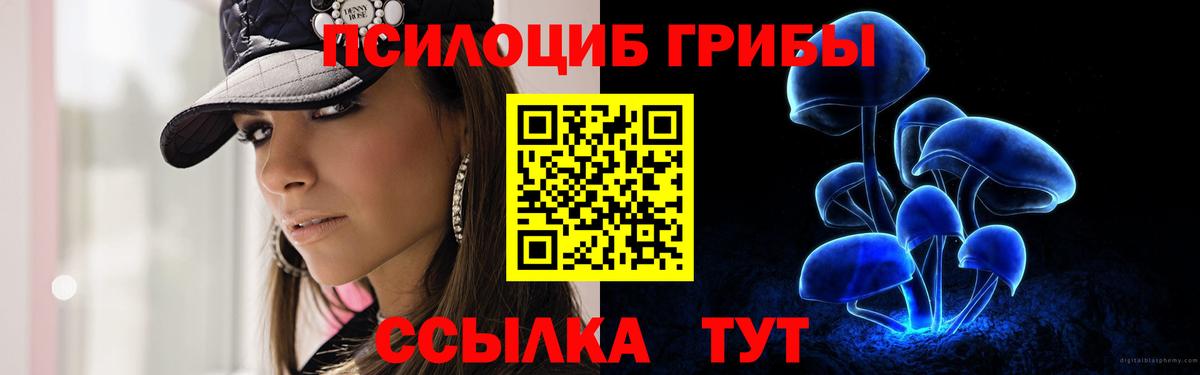 Галлюциногенные грибы Magic Shrooms  Галлюциногенные грибы GOLDEN TEACHER  Вход с VPN  Шатура 